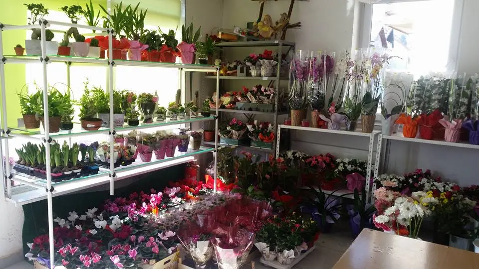 17021507_220744384998659_6360847936076038671_n