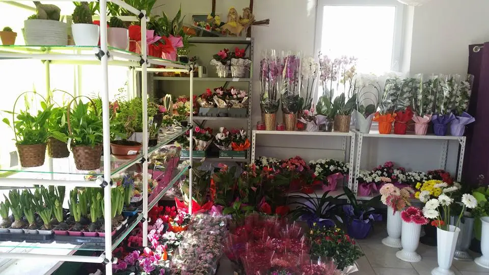 17021957_220744408331990_1232686750471423632_n