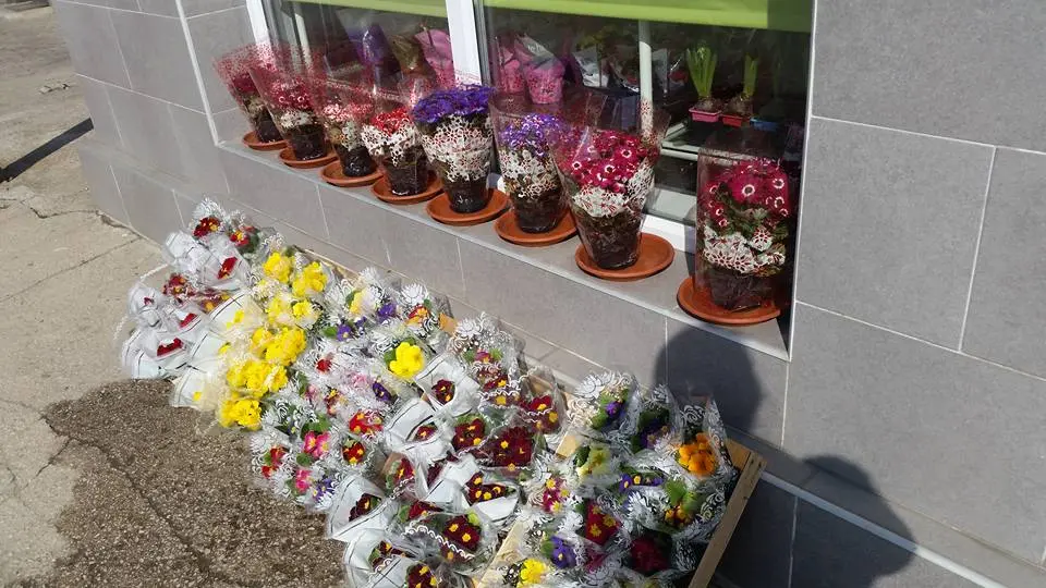 17022186_220744364998661_2777662756183462756_n