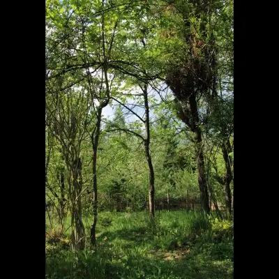 IMG_4325_Kopiraj IMG_4325_Kopiraj