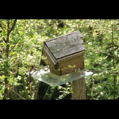 IMG_4326_Kopiraj IMG_4326_Kopiraj