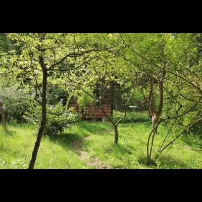 IMG_4327_Kopiraj IMG_4327_Kopiraj