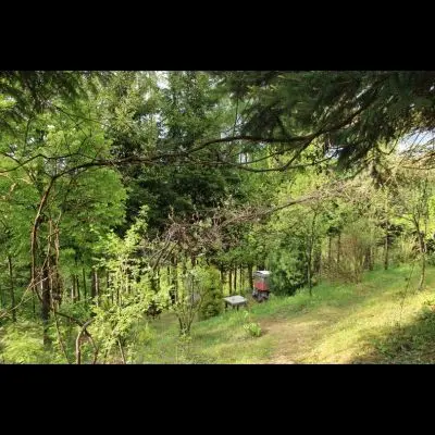 IMG_4329_Kopiraj IMG_4329_Kopiraj