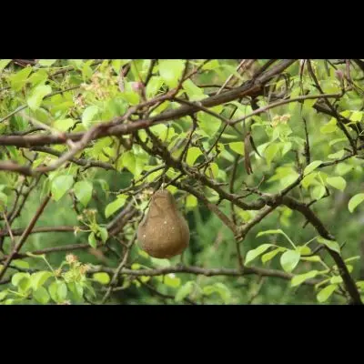 IMG_4330_Kopiraj IMG_4330_Kopiraj