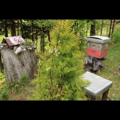 IMG_4333_Kopiraj IMG_4333_Kopiraj