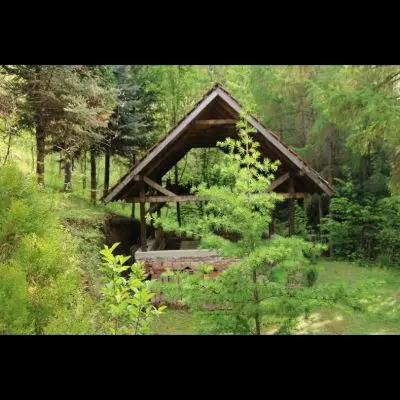 IMG_4335_Kopiraj IMG_4335_Kopiraj