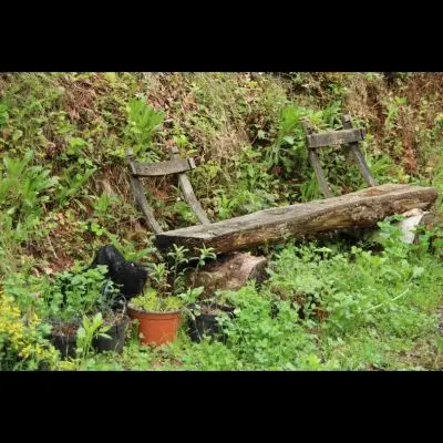 IMG_4340_Kopiraj IMG_4340_Kopiraj