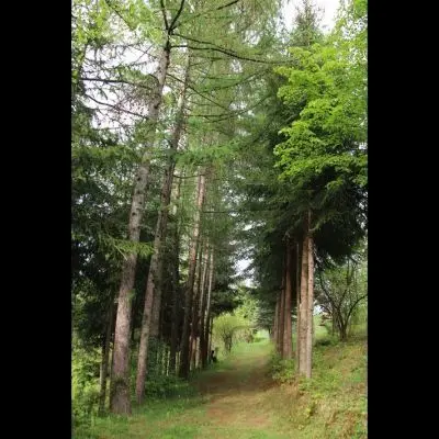 IMG_4342_Kopiraj IMG_4342_Kopiraj