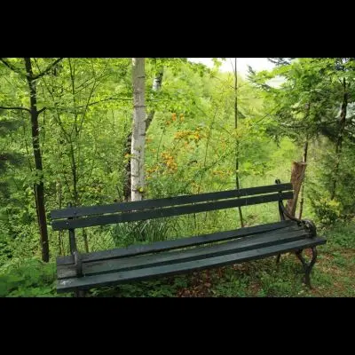 IMG_4350_Kopiraj IMG_4350_Kopiraj