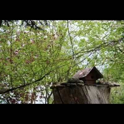 IMG_4352_Kopiraj IMG_4352_Kopiraj