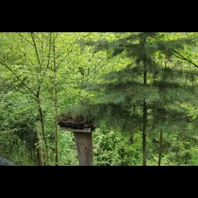 IMG_4353_Kopiraj IMG_4353_Kopiraj