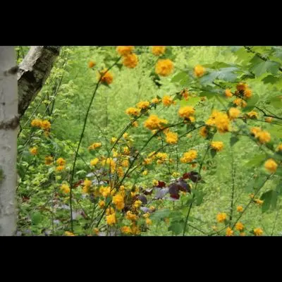 IMG_4354_Kopiraj IMG_4354_Kopiraj