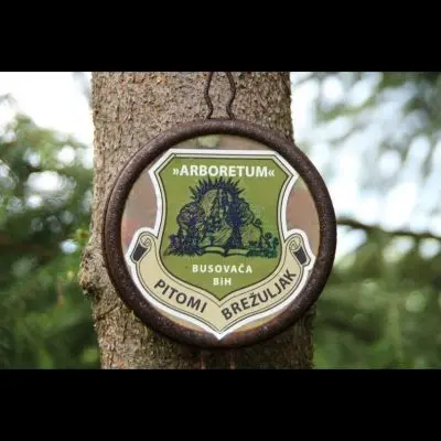 IMG_4355_Kopiraj IMG_4355_Kopiraj