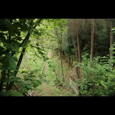 IMG_4362_Kopiraj IMG_4362_Kopiraj