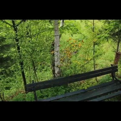 IMG_4364_Kopiraj IMG_4364_Kopiraj