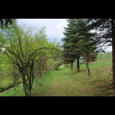 IMG_4368_Kopiraj IMG_4368_Kopiraj