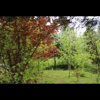 IMG_4369_Kopiraj IMG_4369_Kopiraj