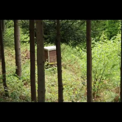 IMG_4370_Kopiraj IMG_4370_Kopiraj