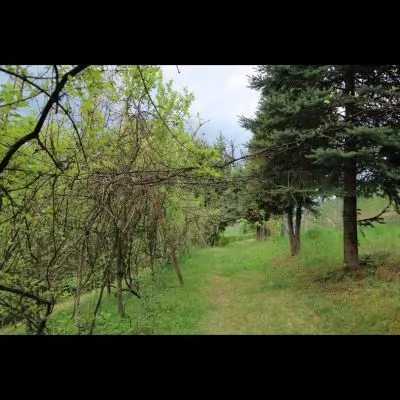 IMG_4371_Kopiraj IMG_4371_Kopiraj