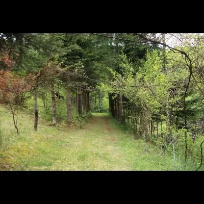 IMG_4373_Kopiraj IMG_4373_Kopiraj