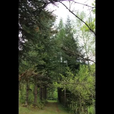 IMG_4378_Kopiraj IMG_4378_Kopiraj