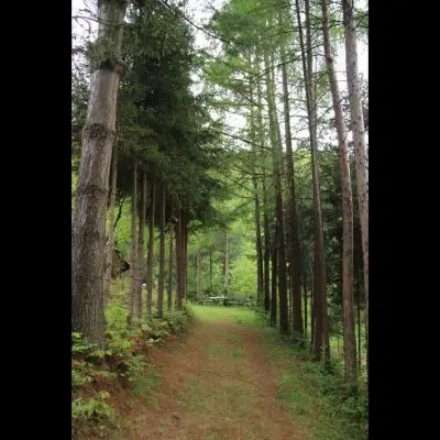 IMG_4381_Kopiraj IMG_4381_Kopiraj