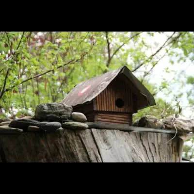 IMG_4384_Kopiraj IMG_4384_Kopiraj