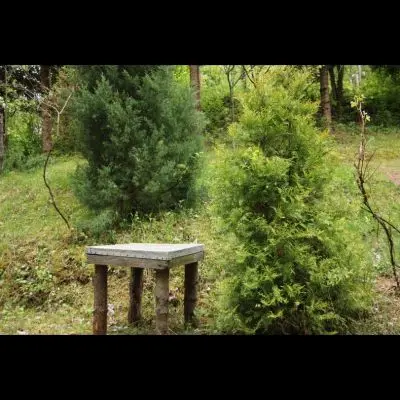 IMG_4385_Kopiraj IMG_4385_Kopiraj