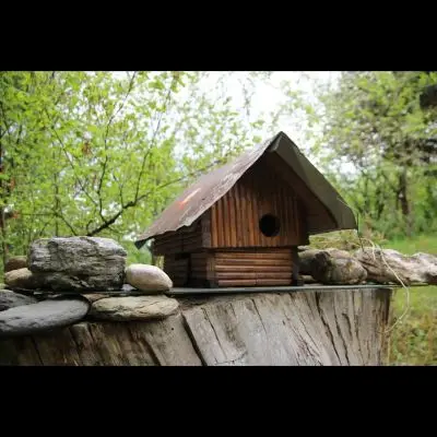 IMG_4386_Kopiraj IMG_4386_Kopiraj