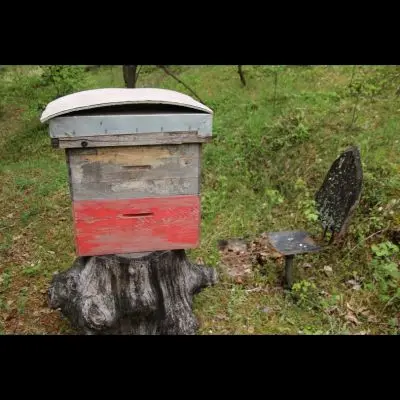 IMG_4387_Kopiraj IMG_4387_Kopiraj