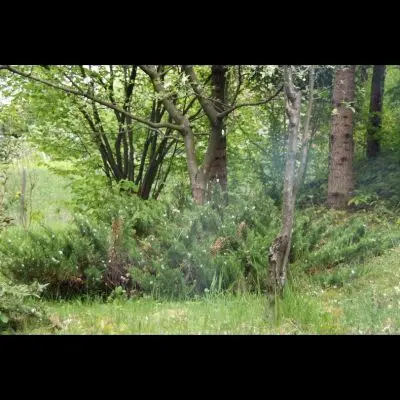 IMG_4388_Kopiraj IMG_4388_Kopiraj