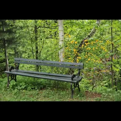 IMG_4390_Kopiraj IMG_4390_Kopiraj