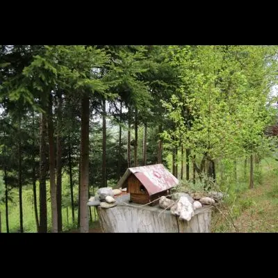 IMG_4392_Kopiraj IMG_4392_Kopiraj