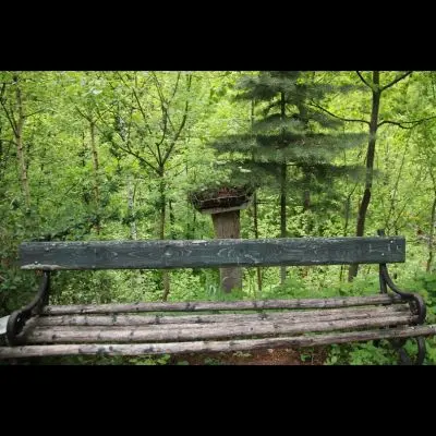 IMG_4393_Kopiraj IMG_4393_Kopiraj