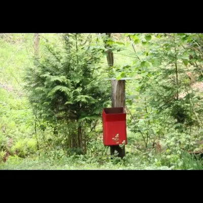 IMG_4394_Kopiraj IMG_4394_Kopiraj