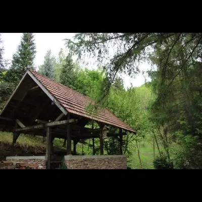 IMG_4395_Kopiraj IMG_4395_Kopiraj