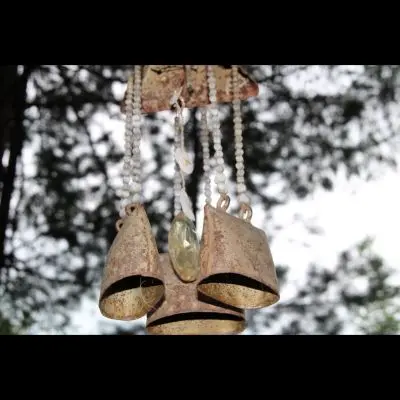 IMG_4396_Kopiraj IMG_4396_Kopiraj