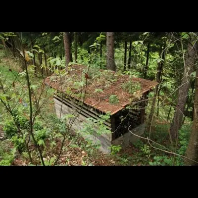 IMG_4397_Kopiraj IMG_4397_Kopiraj