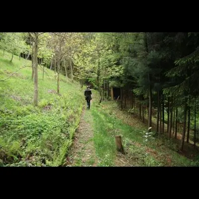 IMG_4399_Kopiraj IMG_4399_Kopiraj