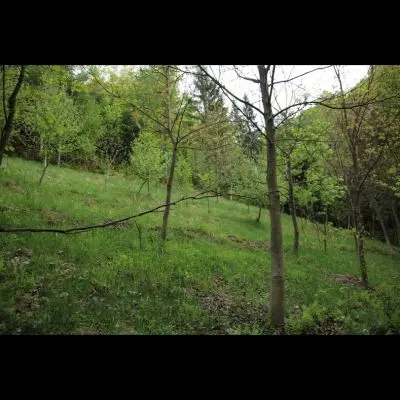 IMG_4400_Kopiraj IMG_4400_Kopiraj