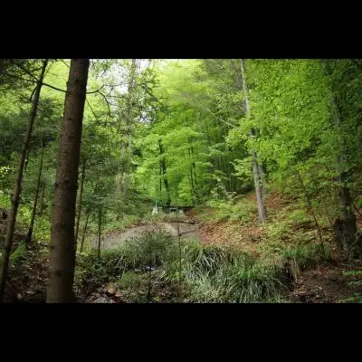 IMG_4404_Kopiraj IMG_4404_Kopiraj