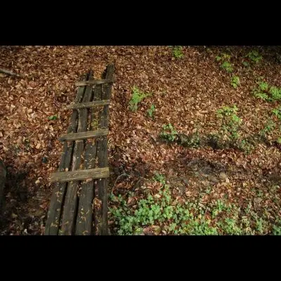 IMG_4407_Kopiraj IMG_4407_Kopiraj