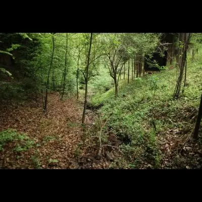 IMG_4408_Kopiraj IMG_4408_Kopiraj