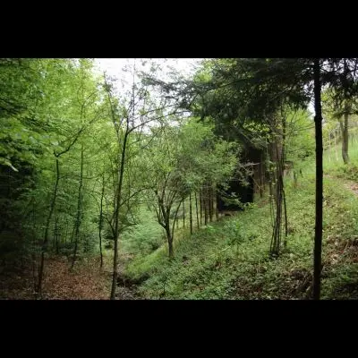 IMG_4409_Kopiraj IMG_4409_Kopiraj