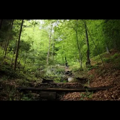 IMG_4414_Kopiraj IMG_4414_Kopiraj