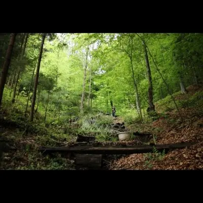 IMG_4415_Kopiraj IMG_4415_Kopiraj