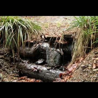 IMG_4416_Kopiraj IMG_4416_Kopiraj