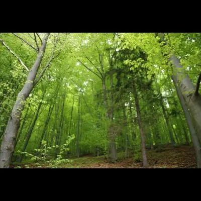 IMG_4425_Kopiraj IMG_4425_Kopiraj