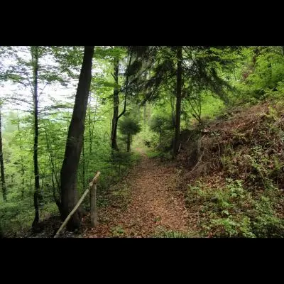 IMG_4427_Kopiraj IMG_4427_Kopiraj