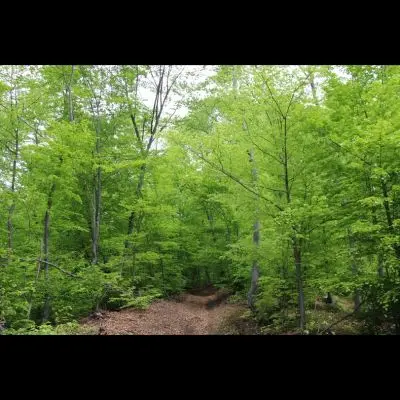 IMG_4446_Kopiraj IMG_4446_Kopiraj